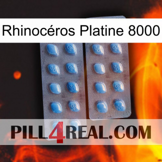 Rhinocéros Platine 8000 viagra4